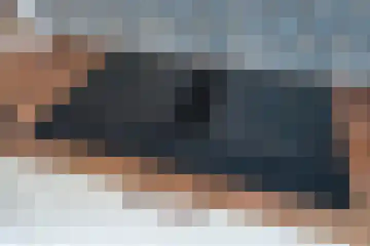 Caan van Necklaan 100 Rijswijk thumbnail 21