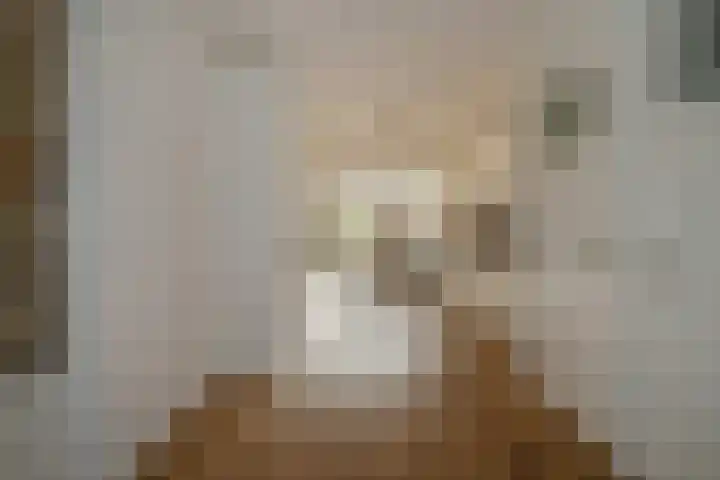 Caan van Necklaan 100 Rijswijk thumbnail 22