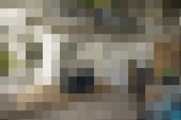 Caan van Necklaan 100 Rijswijk thumbnail 27