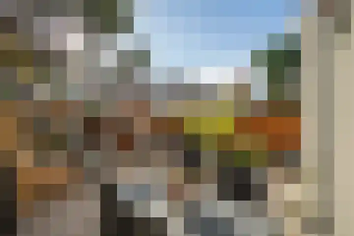 Caan van Necklaan 100 Rijswijk thumbnail 28