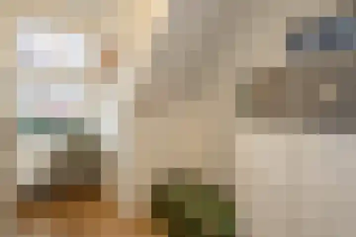 Caan van Necklaan 100 Rijswijk thumbnail 35