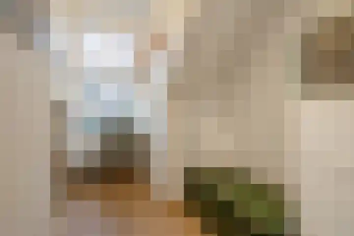 Caan van Necklaan 100 Rijswijk thumbnail 36