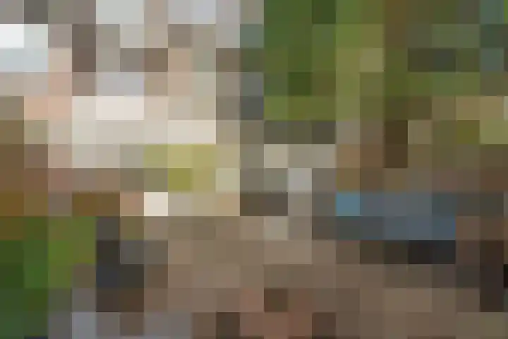 Caan van Necklaan 100 Rijswijk thumbnail 4