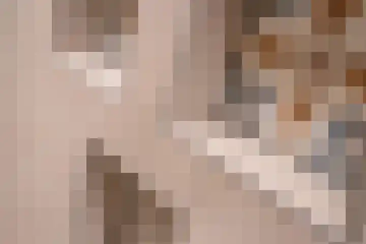 Caan van Necklaan 100 Rijswijk thumbnail 41