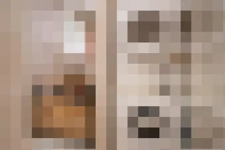 Caan van Necklaan 100 Rijswijk thumbnail 43