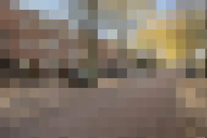 Caan van Necklaan 100 Rijswijk thumbnail 44