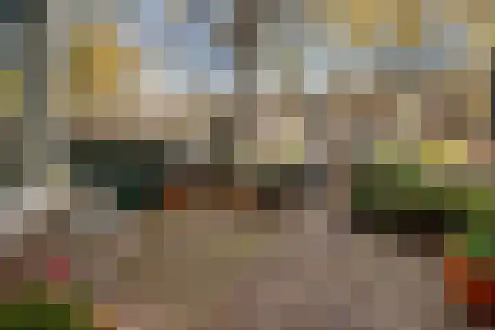 Caan van Necklaan 100 Rijswijk thumbnail 6
