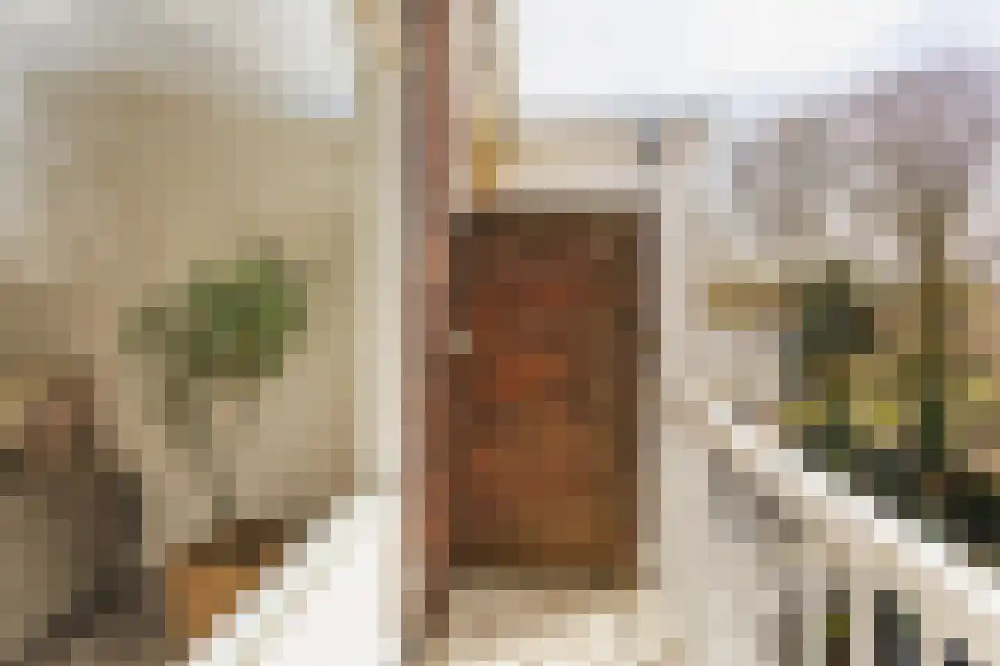 Caan van Necklaan 106 Rijswijk thumbnail 9