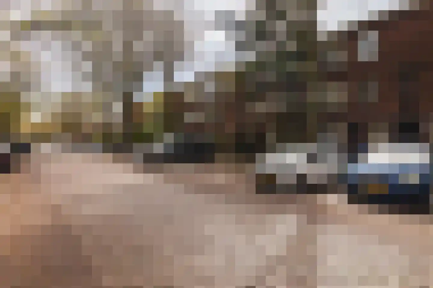 Caan van Necklaan 106 Rijswijk thumbnail 16