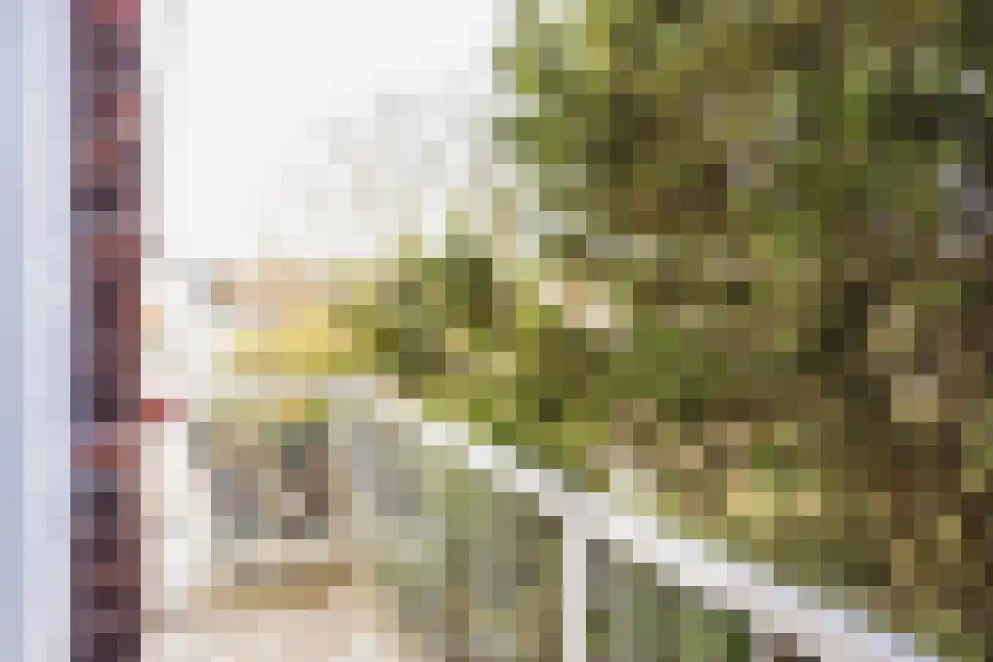 Caan van Necklaan 106 Rijswijk thumbnail 5