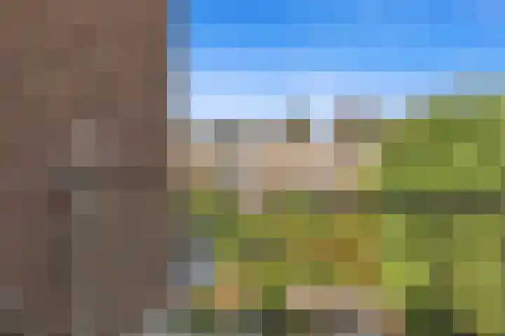 Caan van Necklaan 107 Rijswijk thumbnail 20