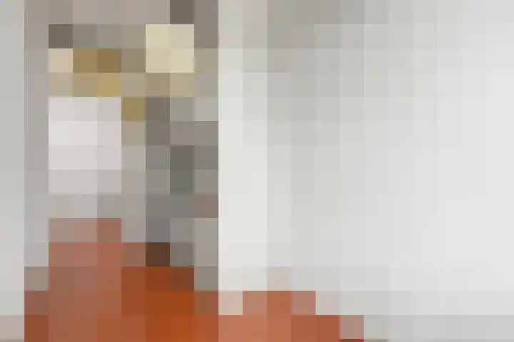 Caan van Necklaan 107 Rijswijk thumbnail 31