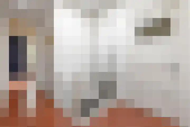 Caan van Necklaan 107 Rijswijk thumbnail 32