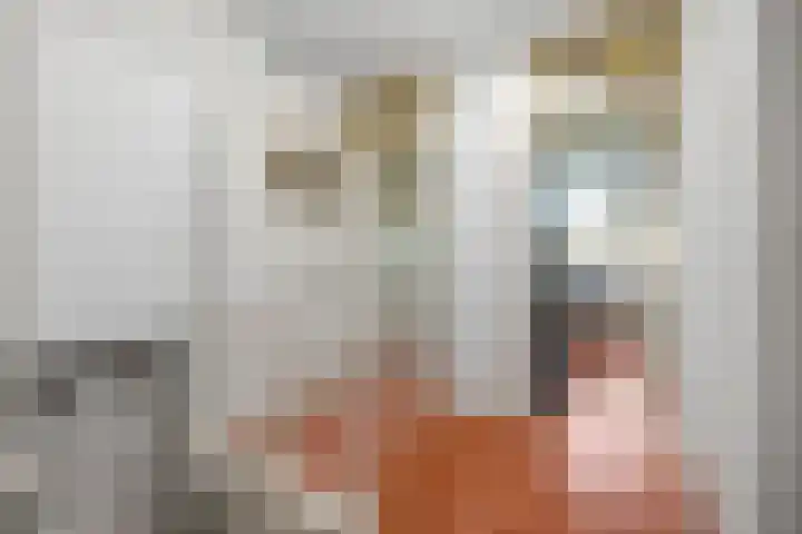 Caan van Necklaan 107 Rijswijk thumbnail 34