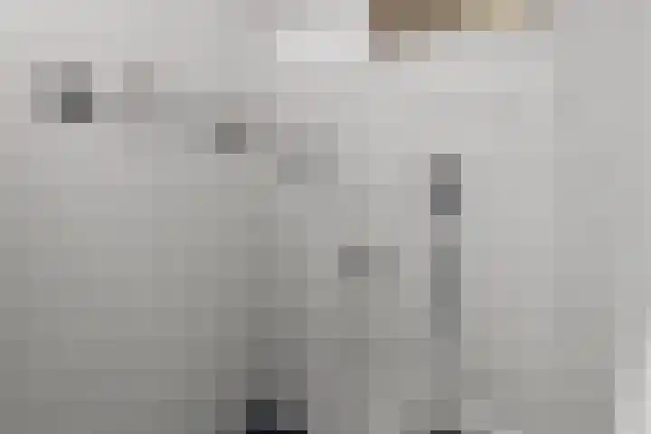 Caan van Necklaan 107 Rijswijk thumbnail 39