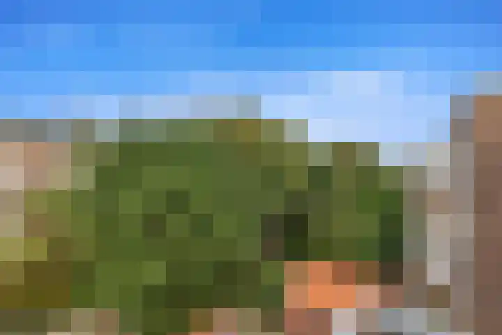 Caan van Necklaan 107 Rijswijk thumbnail 41