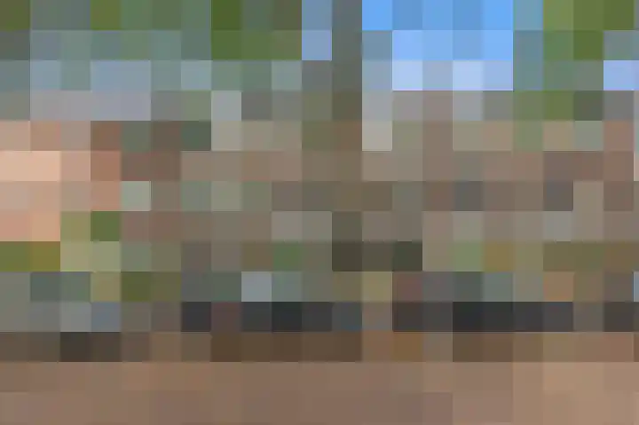 Caan van Necklaan 107 Rijswijk thumbnail 43