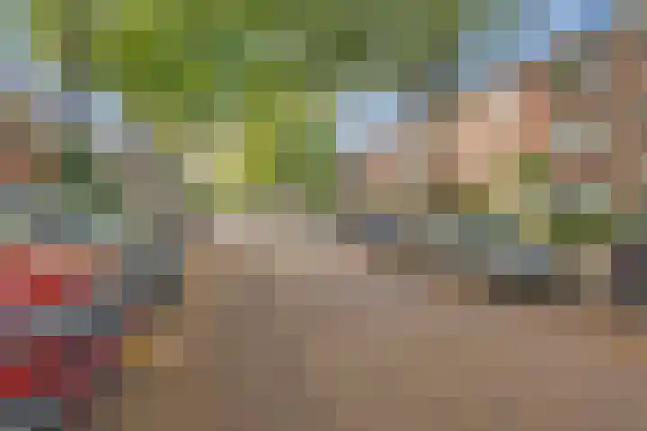 Caan van Necklaan 107 Rijswijk thumbnail 44