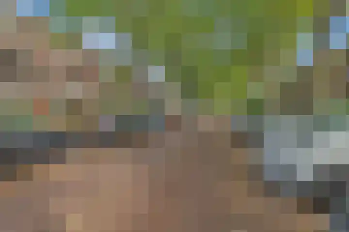Caan van Necklaan 107 Rijswijk thumbnail 45