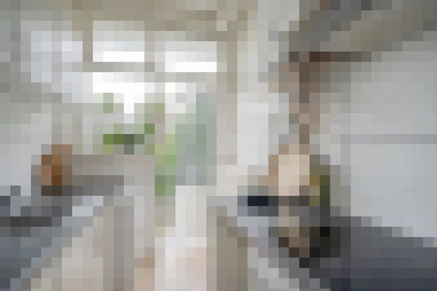 Caan van Necklaan 109 Rijswijk thumbnail 13