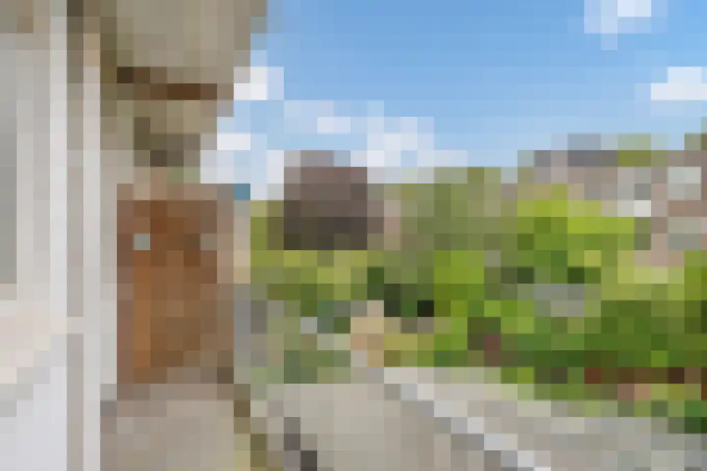 Caan van Necklaan 109 Rijswijk thumbnail 15