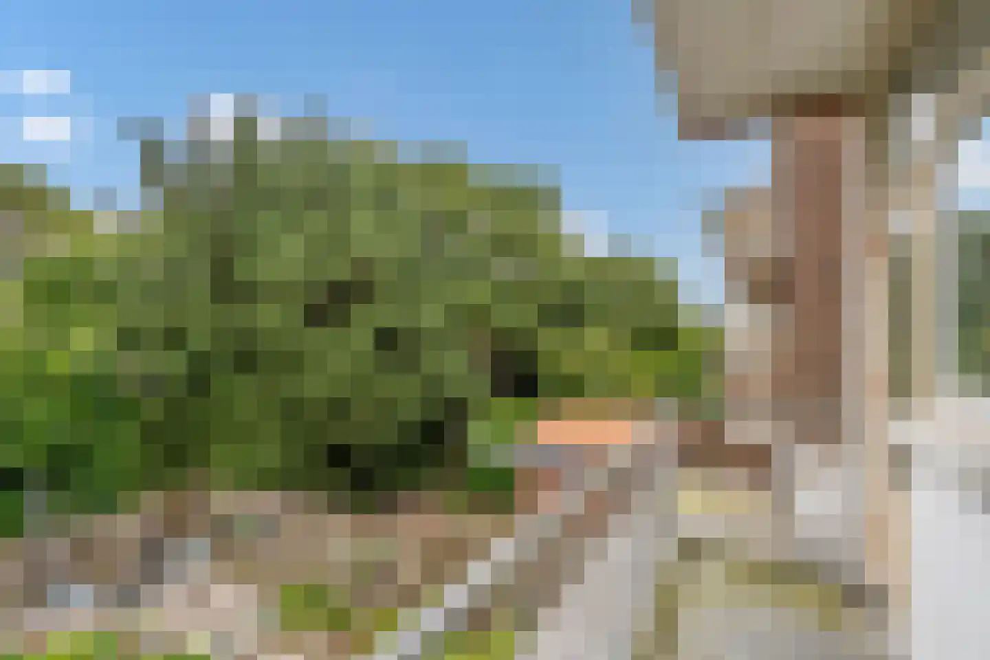 Caan van Necklaan 109 Rijswijk thumbnail 16