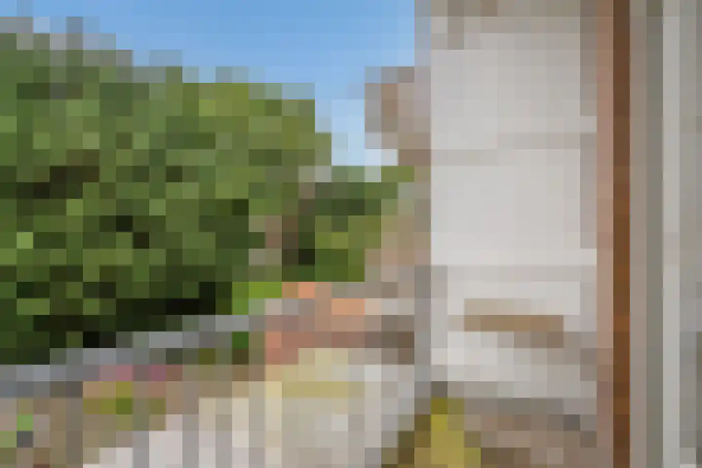 Caan van Necklaan 109 Rijswijk thumbnail 21