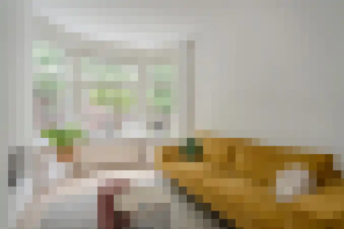 Caan van Necklaan 109 Rijswijk thumbnail 4