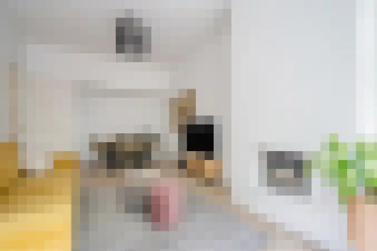 Caan van Necklaan 109 Rijswijk thumbnail 7