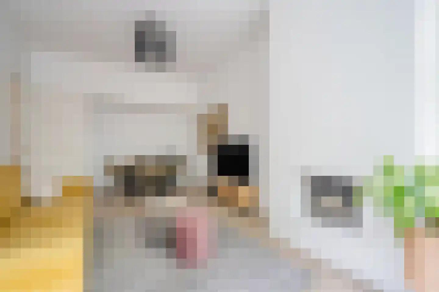 Caan van Necklaan 109 Rijswijk thumbnail 7