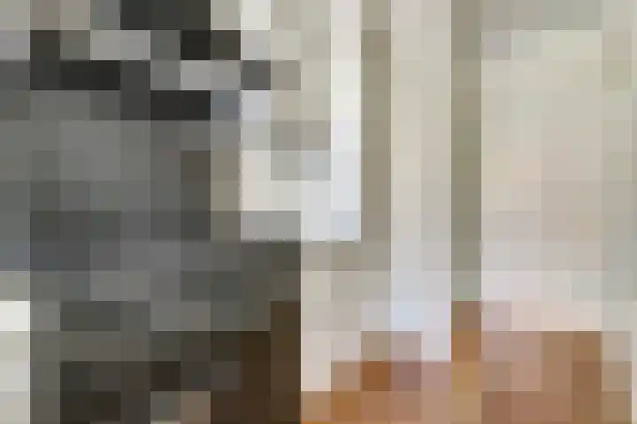Caan van Necklaan 11 Rijswijk thumbnail 14