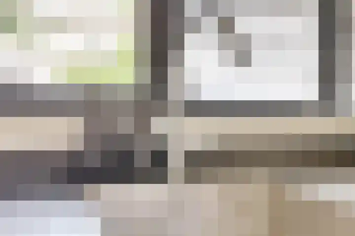 Caan van Necklaan 11 Rijswijk thumbnail 15