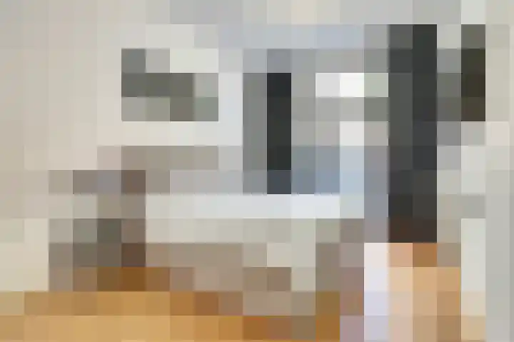 Caan van Necklaan 11 Rijswijk thumbnail 18