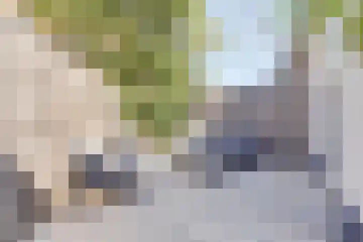 Caan van Necklaan 11 Rijswijk thumbnail 26