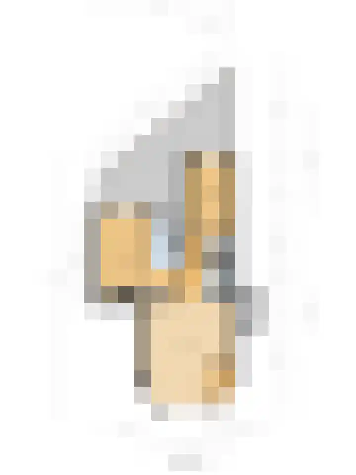 Caan van Necklaan 11 Rijswijk thumbnail 28