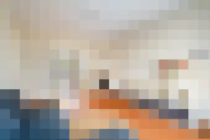 Caan van Necklaan 114 Rijswijk thumbnail 14