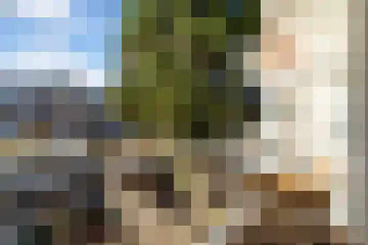 Caan van Necklaan 114 Rijswijk thumbnail 29