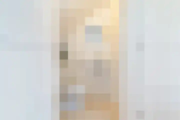 Caan van Necklaan 114 Rijswijk thumbnail 36