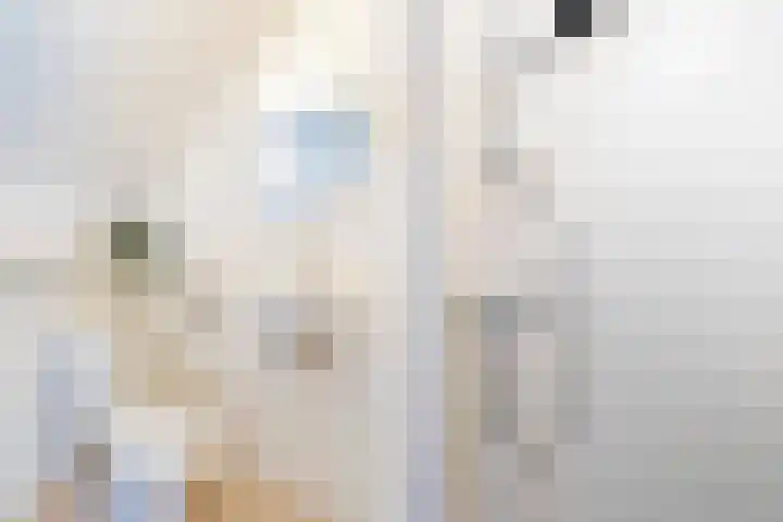 Caan van Necklaan 114 Rijswijk thumbnail 37