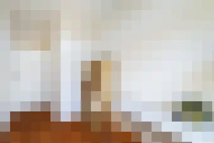 Caan van Necklaan 114 Rijswijk thumbnail 40