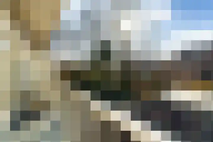 Caan van Necklaan 114 Rijswijk thumbnail 42