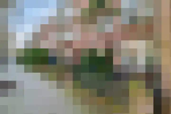 Caan van Necklaan 114 Rijswijk thumbnail 47