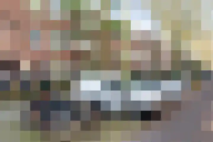 Caan van Necklaan 114 Rijswijk thumbnail 49