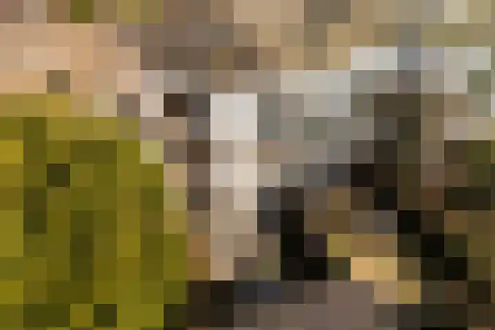 Caan van Necklaan 114 Rijswijk thumbnail 51