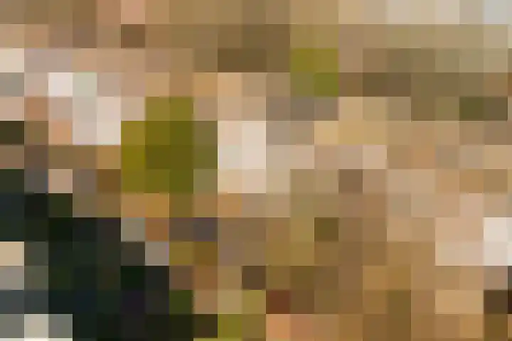 Caan van Necklaan 114 Rijswijk thumbnail 52