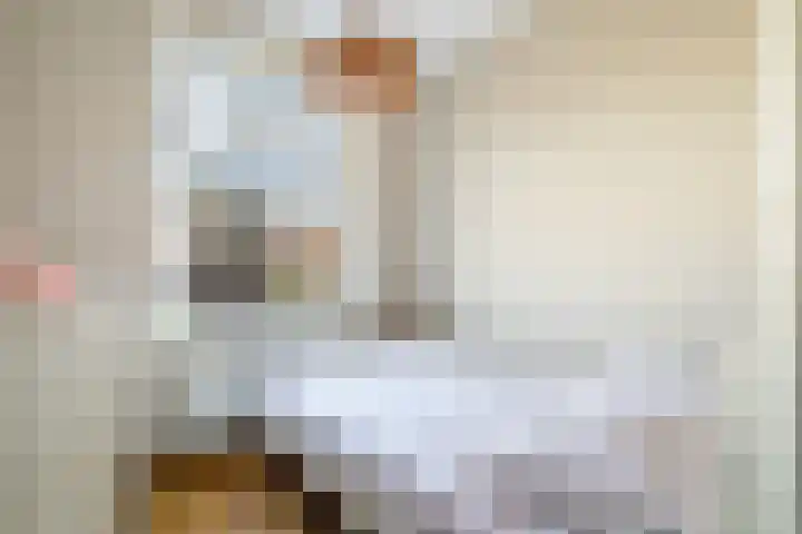 Caan van Necklaan 114 Rijswijk thumbnail 8
