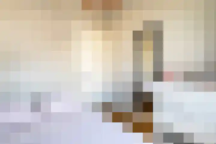 Caan van Necklaan 114 Rijswijk thumbnail 9