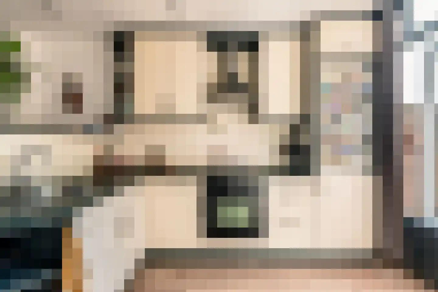 Caan van Necklaan 130 Rijswijk thumbnail 13
