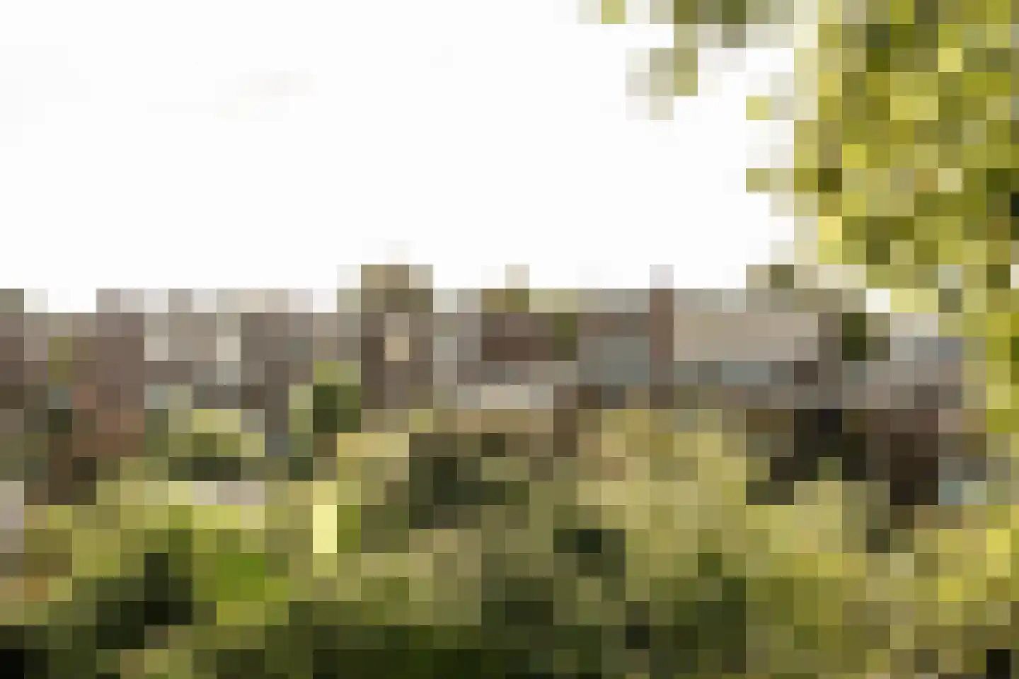 Caan van Necklaan 130 Rijswijk thumbnail 17