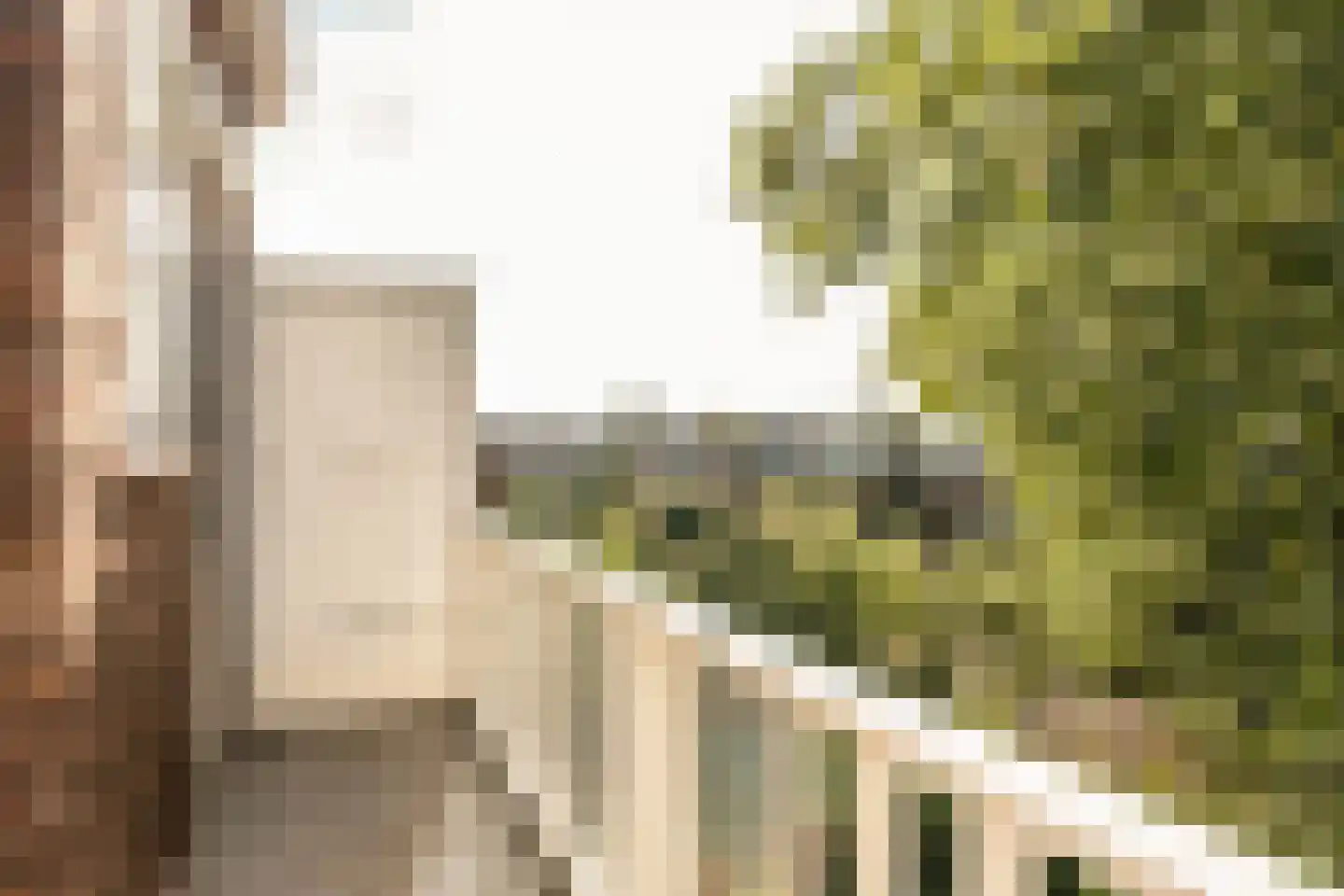 Caan van Necklaan 130 Rijswijk thumbnail 27